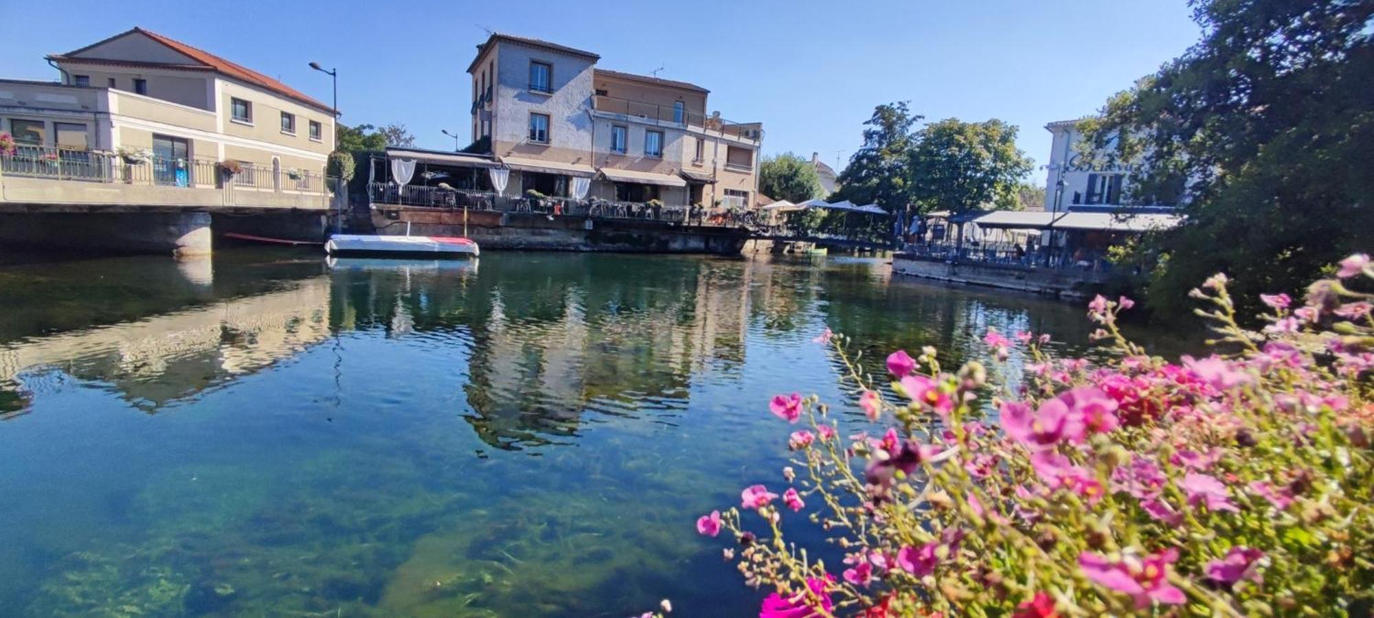 Appartement Le Ptit'isle *
